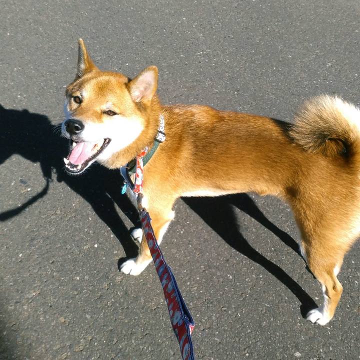 37bd5cab 999d 4999 8d28 d85db4b4b2ca 1508732252683