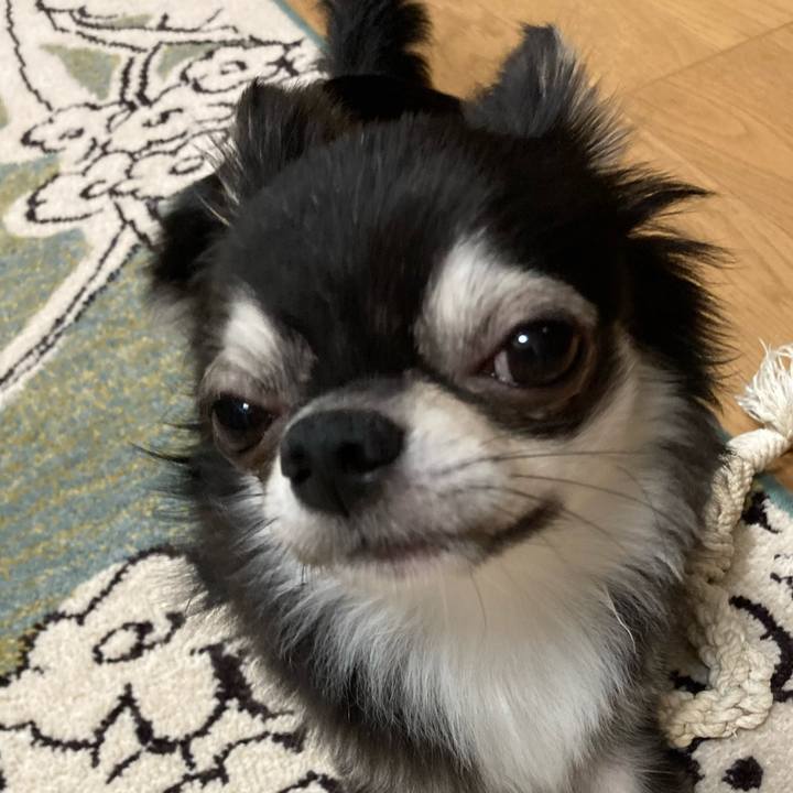 37bd6d23 42f4 48df bc5c b3181be37cf9 1628865175667