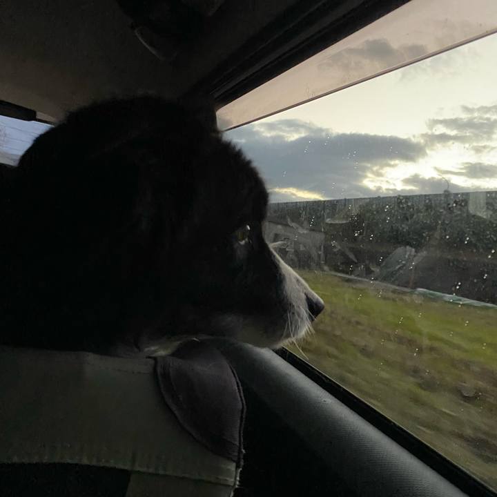 37bd7c91 f6db 4725 822f 3b8580ac8d48 1670968869640