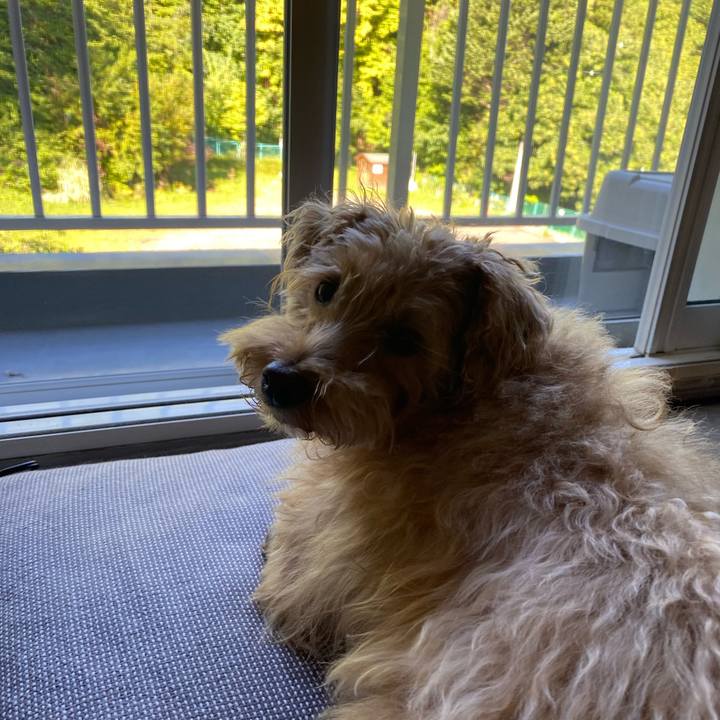 37bda162 562a 4641 a8b8 597e462c2f71 1695337139051