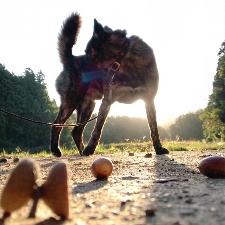 37bdce89 3a1a 4d03 a401 4e9780687dc9 1508296351748