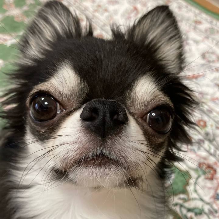 37bde293 d6c2 4862 ab12 c18cc34a6a0e 1660427849183