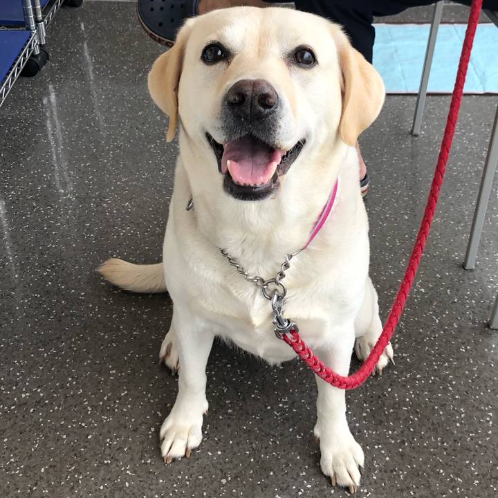 37bdeb13 53e0 4bb4 9858 10ae7d241085 1632961806128