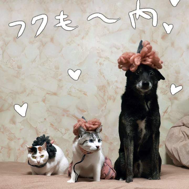 37bdfbf8 47bf 4188 9e59 b57da27e95ce 1740542335819