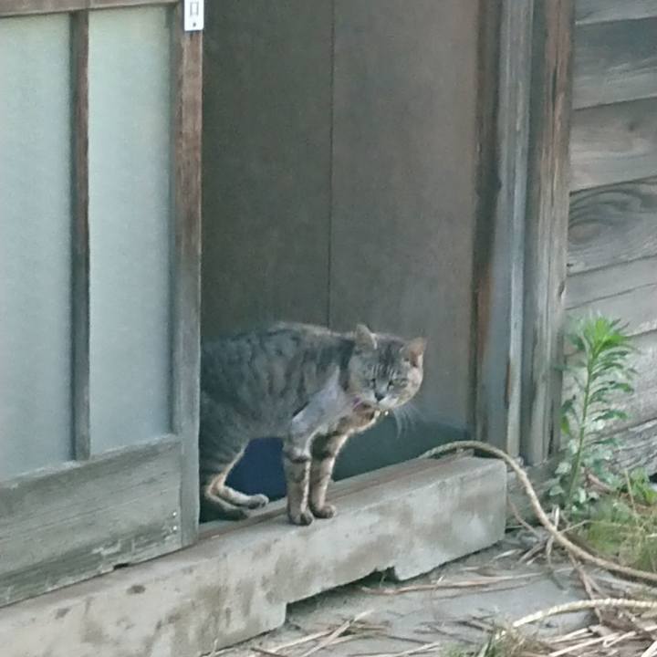 37be1149 3f1c 4ef2 9ab5 f35b764252e0 1592599473739