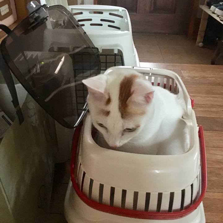 37be2de0 09cb 4a0a ace0 b939258c23c5 1535529700614