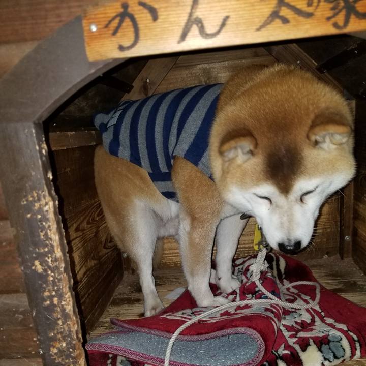 37be7227 8f87 4f80 9665 f81b83b73db6 1636794294512