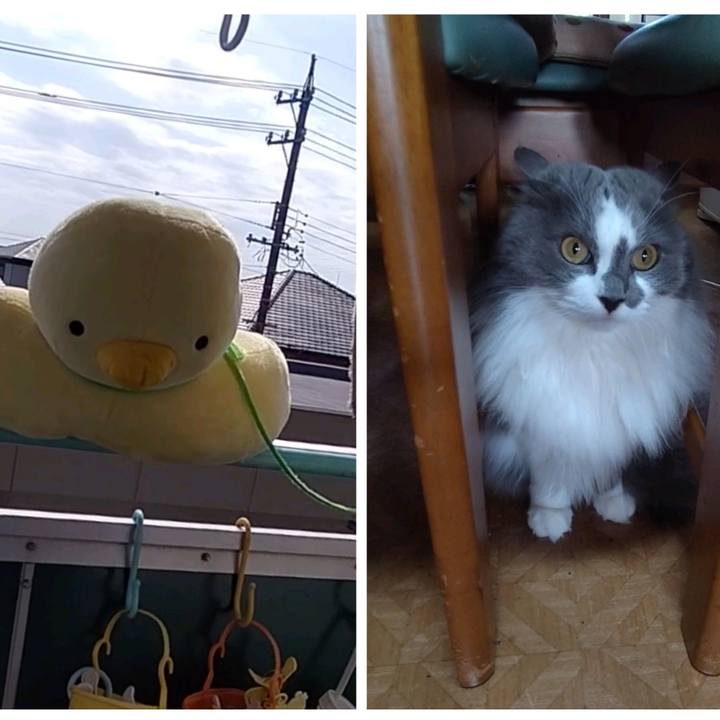 37be91da 778f 466a bb0e 42807b3be538 1678944555829