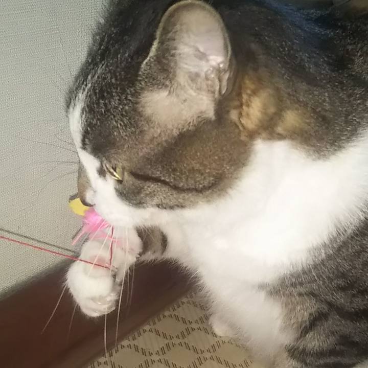 37be9bc3 31ed 43e3 9a8e 72f4095162d9 1619263799674