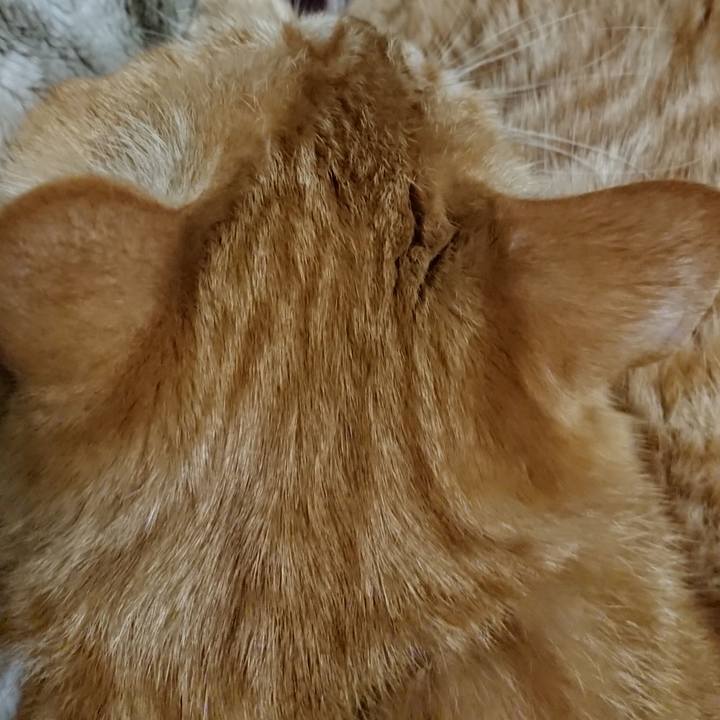 37bea39e f331 4eca 975c bc1eb83dfed1 1640091997349