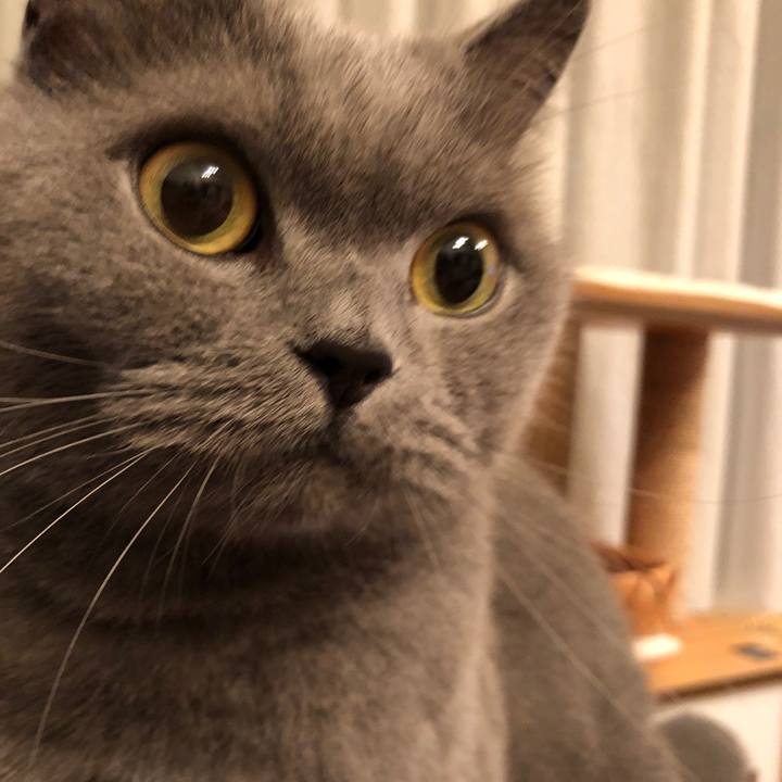 37bea49e c752 4709 87d9 f9f0bbd05ab1 1541815698942