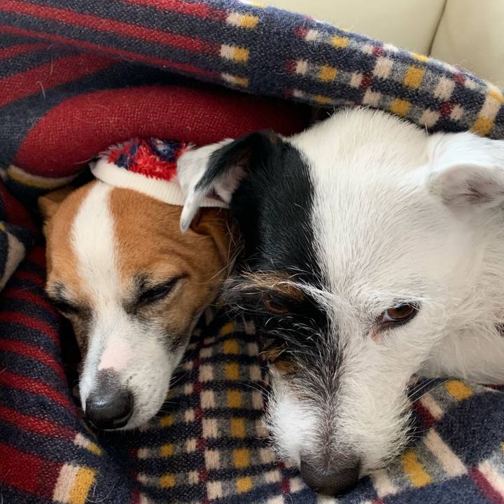 37becde3 ff25 4e55 83aa 3054af911cec 1549426487742