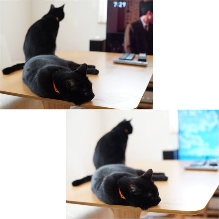 37bed313 a51e 42d8 8da9 0cdeef777416 1531439389511