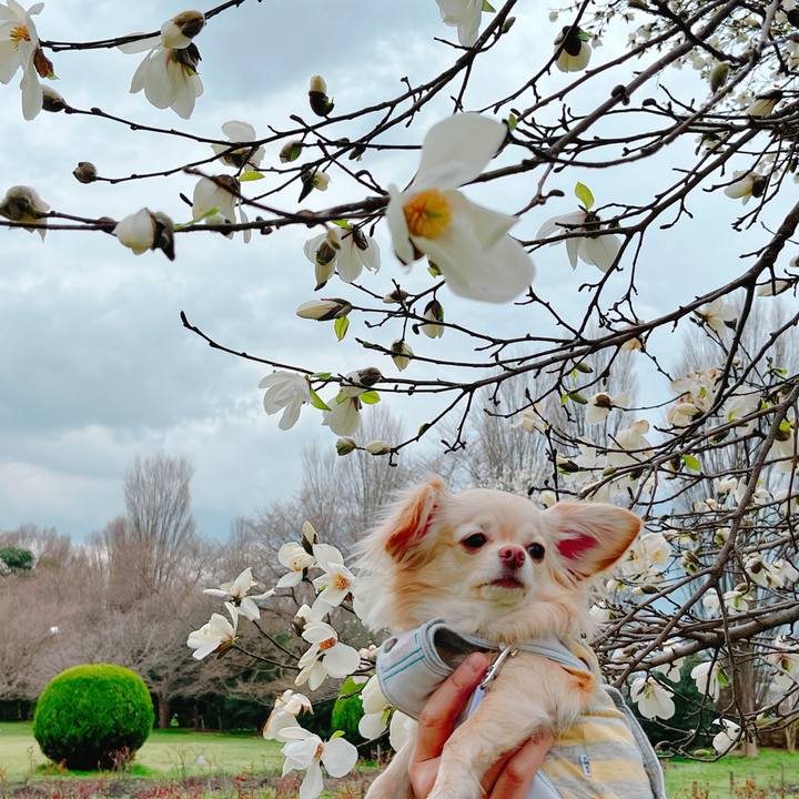 37bf399d b824 4d53 8d39 be0878ca8fa5 1647693536907