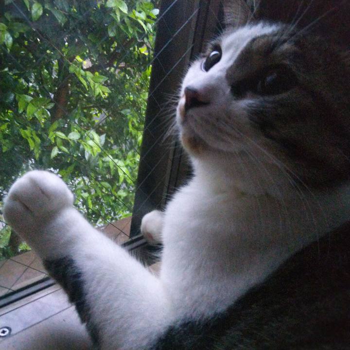 37bf6b34 3dd1 4762 ab9c 3cadb7dd0757 1657655586339