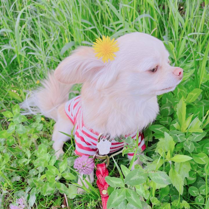 37bf8a9a 259c 4a07 808a 9e285c634ba8 1682589808585