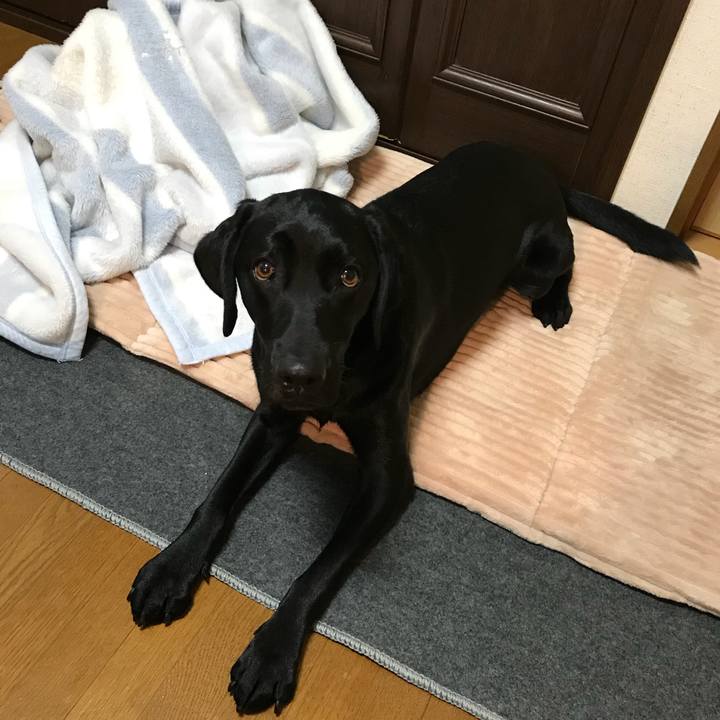 37bff6df 8a14 416c 8ba2 78317603c5be 1518255062783