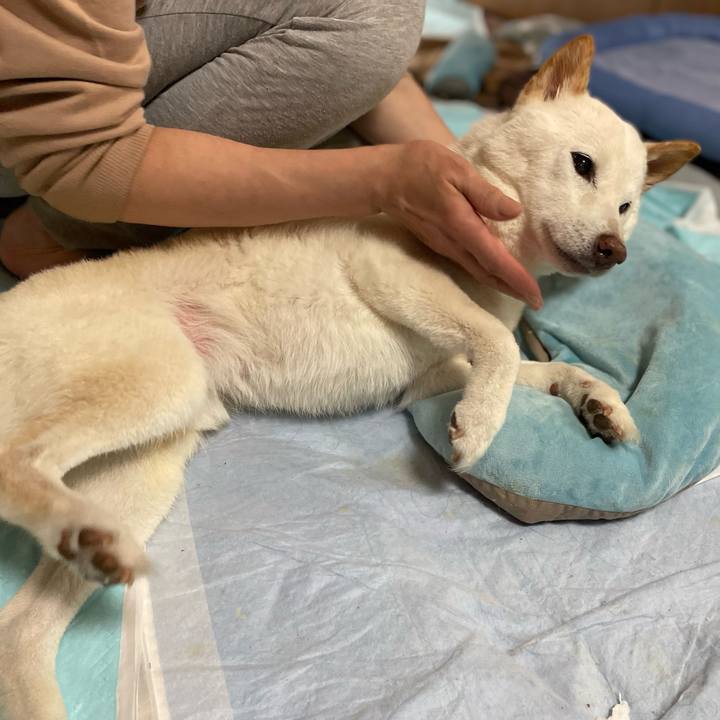 37c01184 c23b 403f 85cf eb75bd5e04d4 1652279341237