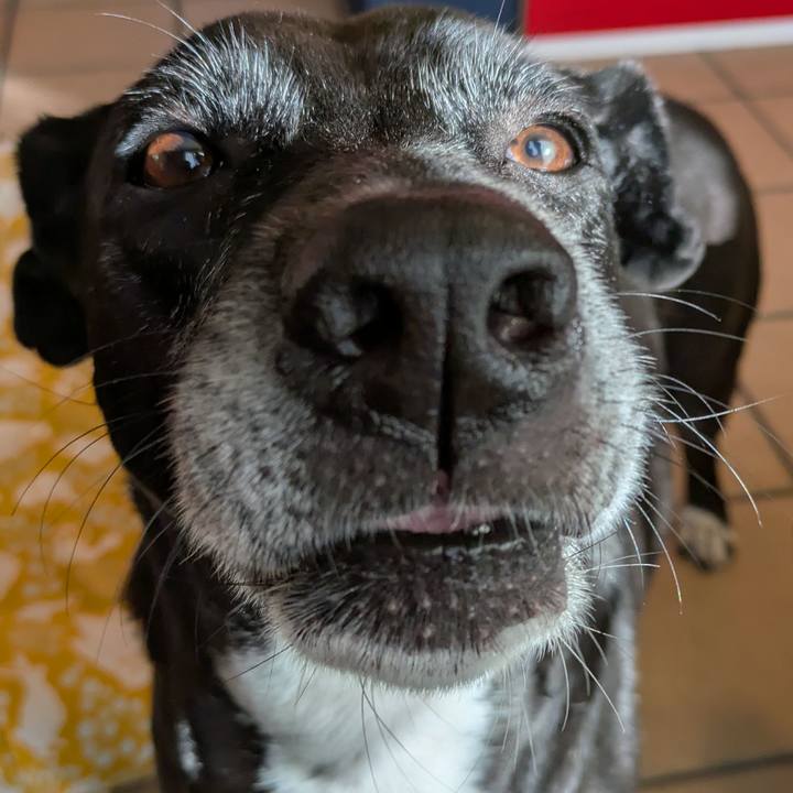 37c04723 a051 4dc4 b94b 764a98f0b7fb 1733616754266