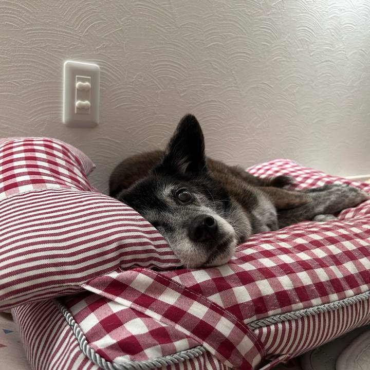 37c05ab1 4157 4145 9cd2 1cbf079c99db 1760970287402