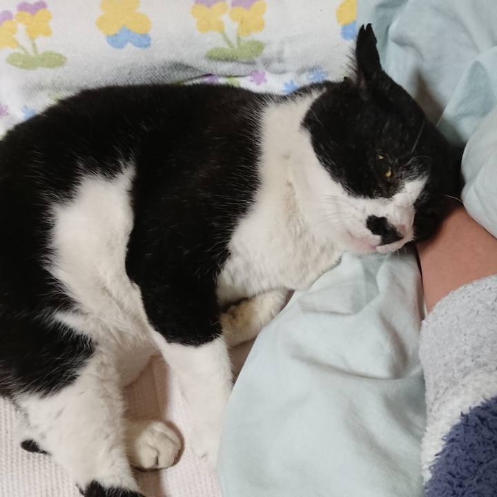 37c07381 e33d 455a aa56 bd81eedfe57a 1667345089934