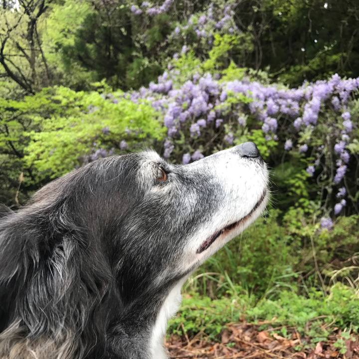 37c08d38 6c15 4e10 9730 5228f4421f0c 1556604673718