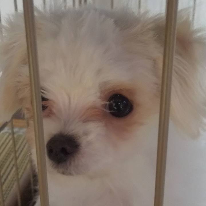 37c0c999 da53 465c b0b0 da1643148d3d 1671331302949