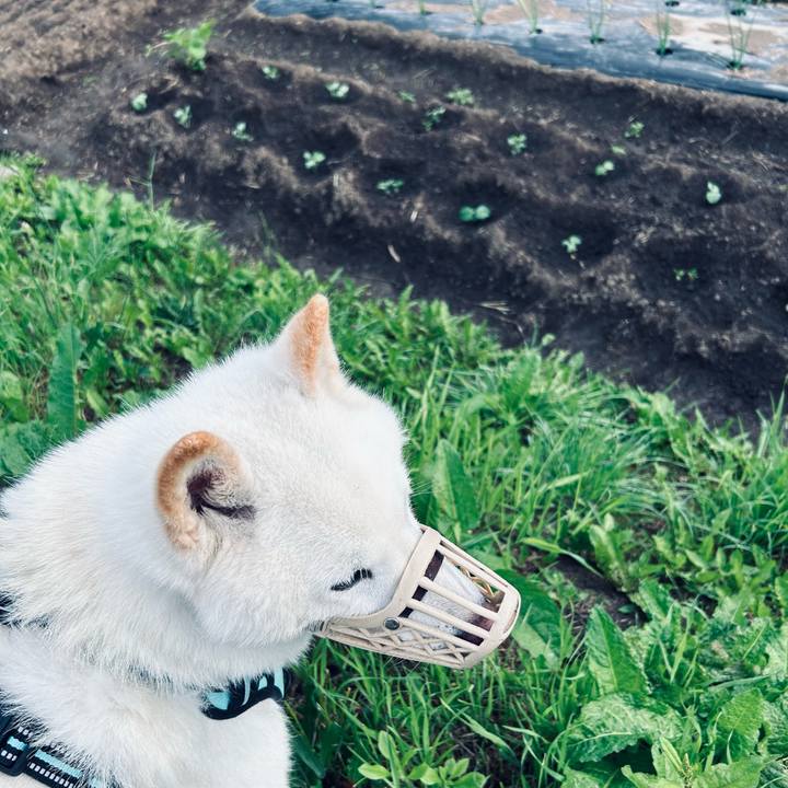 37c0dec6 e116 4f23 835b 5e080bc2a18f 1686257273234