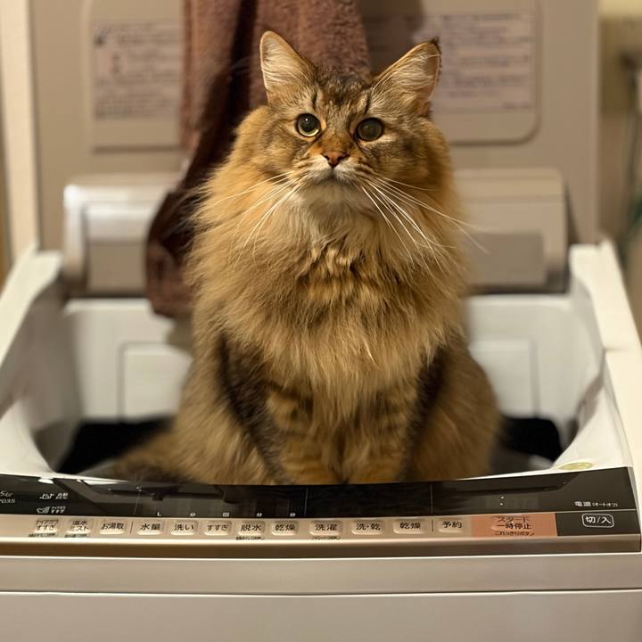 37c0e361 52b4 4b77 83d0 93c652521b79 1768776874533