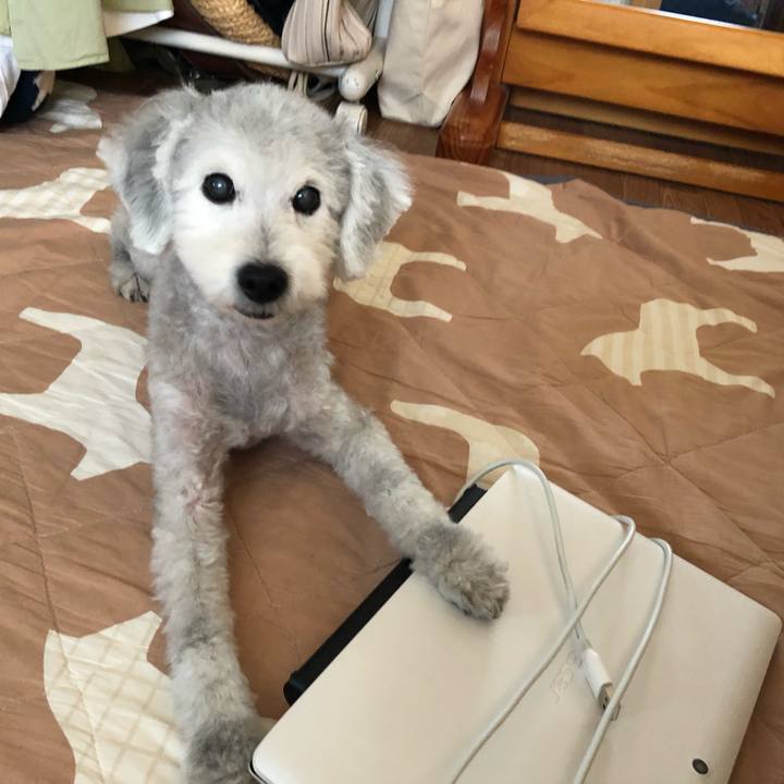 37c11ff4 b9b4 432d 9ce6 2a432a8c7e68 1598573539436