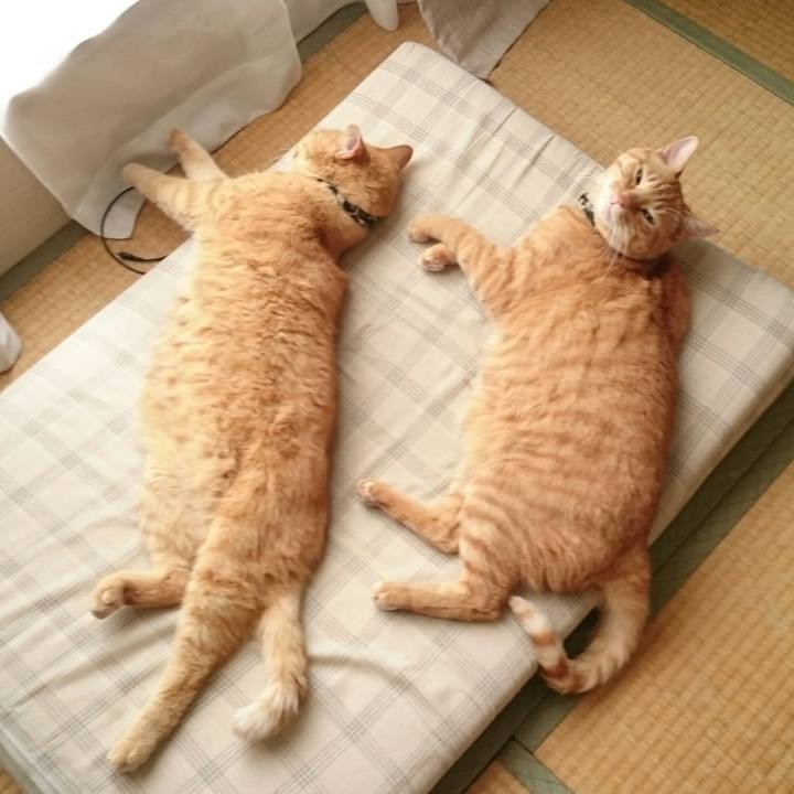 37c150e6 4b07 4146 8f90 bed8dda14f61 1535605137715