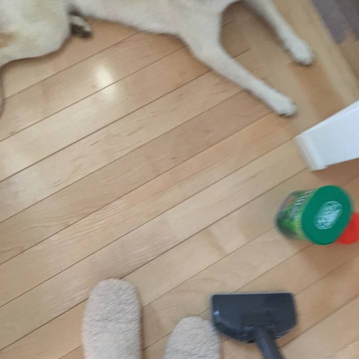 37c1711e 3dc3 45bf abcd d83b54c43bd1 1524294515602