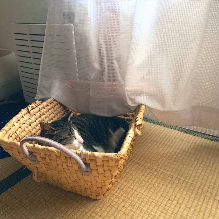 37c17df1 b01a 4670 b8be b21681a3645c 1561107095734