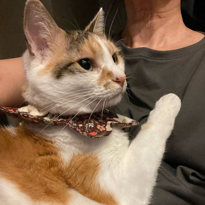 37c18747 9b8a 4654 8b63 3d01ccbef5ee 1752071573221