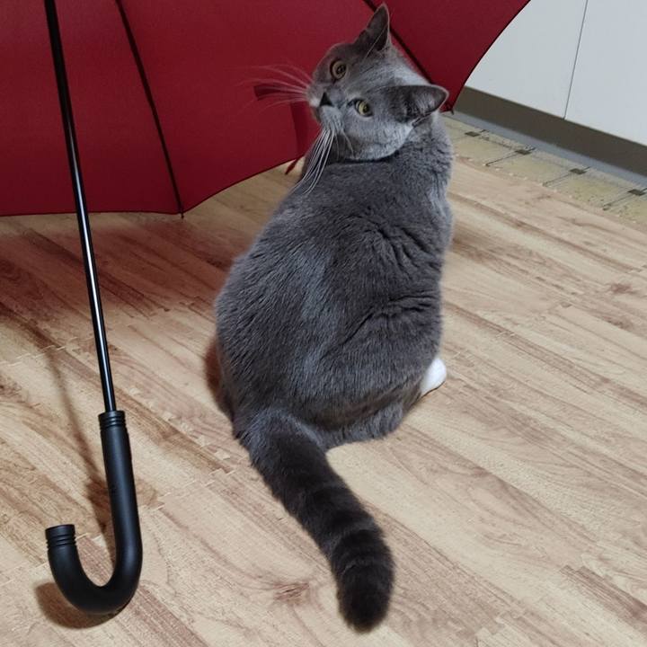 37c1b312 0c34 4e20 b788 5e7df10bc11a 1638350231996