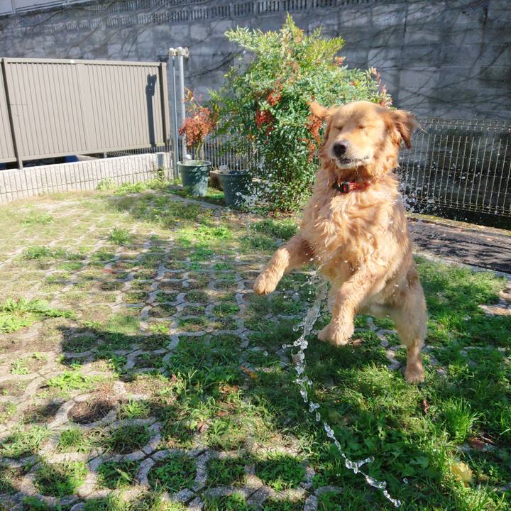 37c1b5d5 aff6 4849 9e1a 762afc345f95 1572257378142