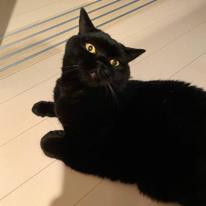 37c1bc02 a6a4 4155 a30b 81fbaee99bf2 1722506745716