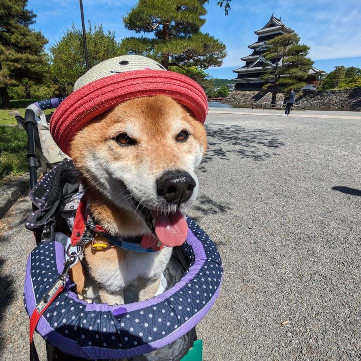 37c1e2b3 c145 4a6d 91f7 a2c1d08e0bf8 1716760238145