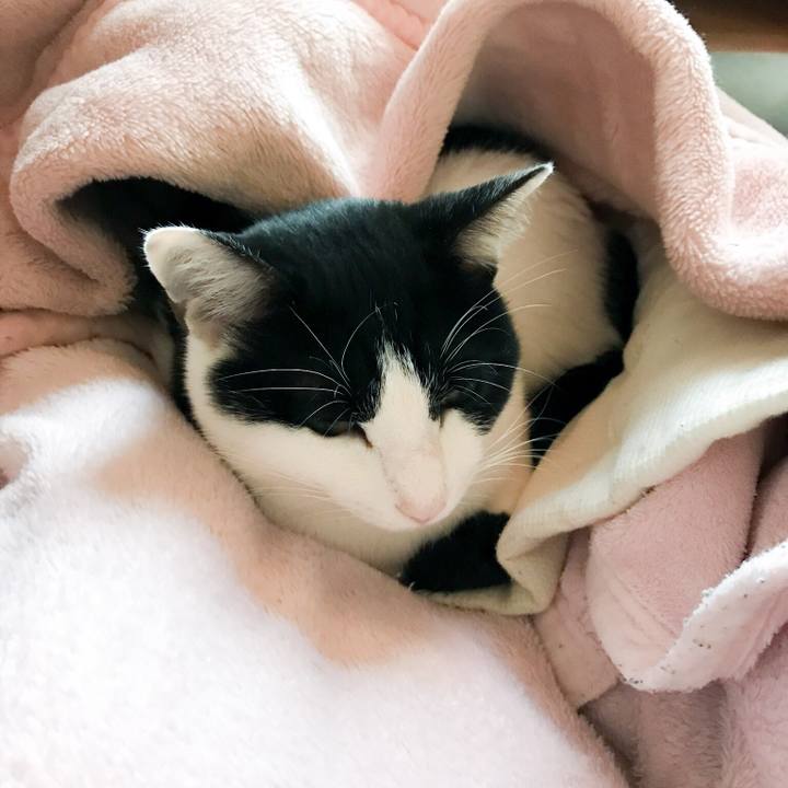 37c1fcb5 2655 48d3 8cd7 48e38dd03cac 1510879595104