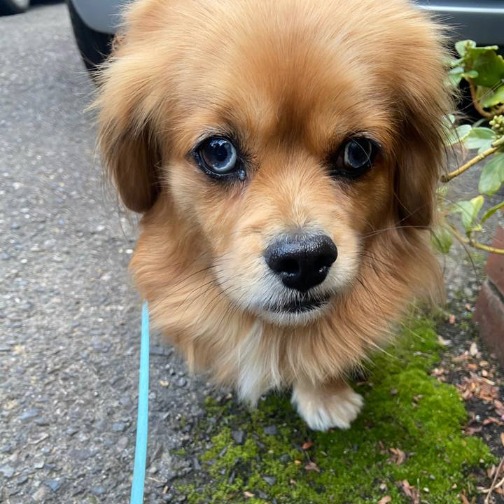 37c20ff5 b53a 48c1 baa7 52d236c8ce74 1613513523569