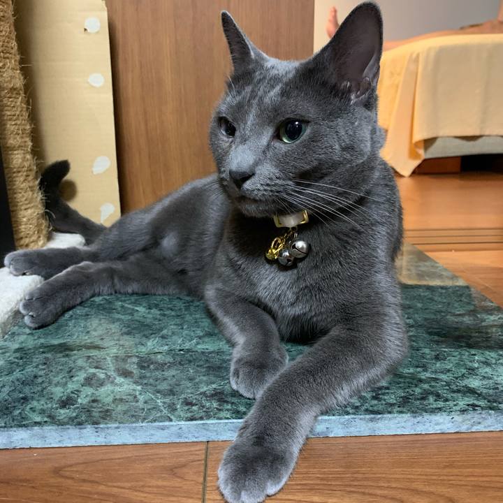 37c22505 c24a 463c a8a0 3d7d2e2d6c1d 1623238459894