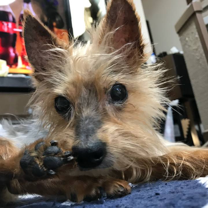 37c23108 6f1e 45d6 83d4 5a41ce965e4c 1755822165683