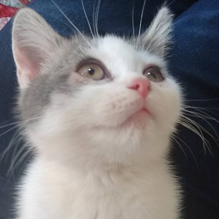 37c23716 05d8 40a8 b27f 3abfc6c4e864 1640863623068