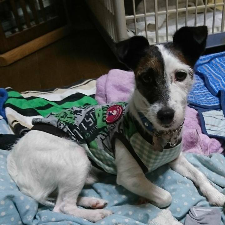 37c29f77 c0fb 40e6 93bc 8ccb66a18357 1571741837769