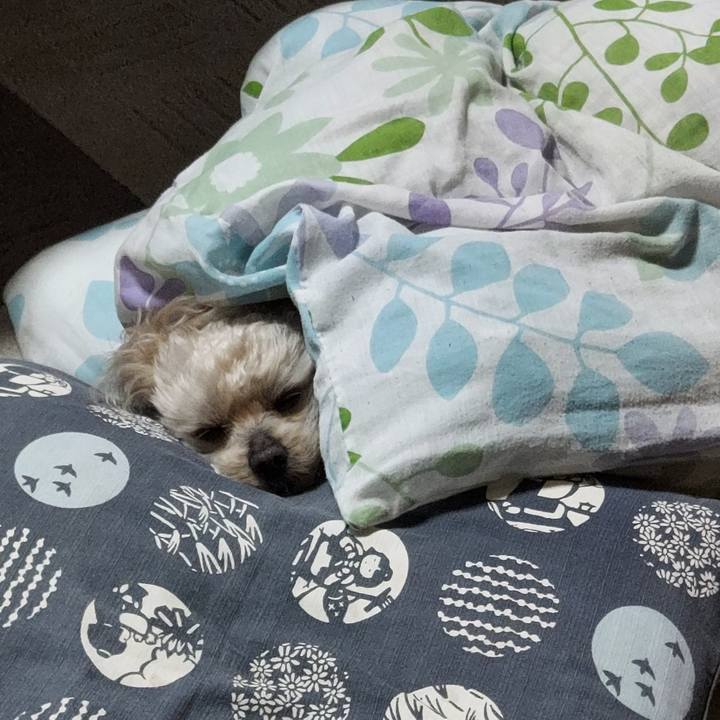 37c2e3d4 a765 4423 ad22 d66190e0e4fc 1685915509826