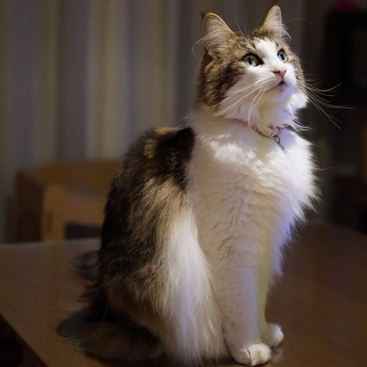 37c2eda8 8c79 45bb 85e3 36b64738edec 1570979138036