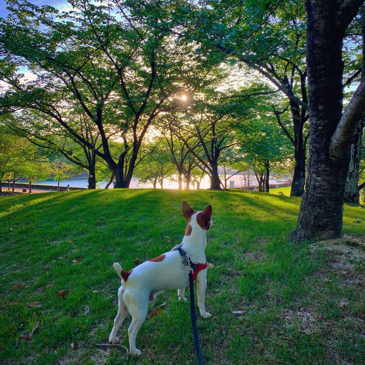 37c3454d 01c5 4a44 83df 2c34916216ee 1556813034667