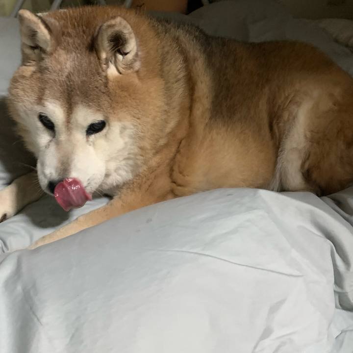 37c3a4a2 6f4a 4926 bf2d b9af44440d13 1643714212723