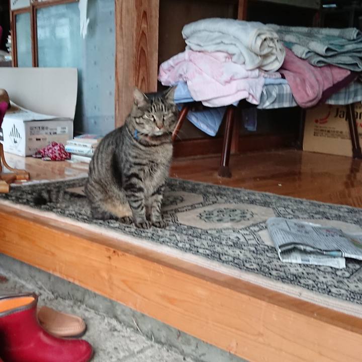 37c3c17e 38cd 45d6 8beb 85bcf056885f 1657659263989