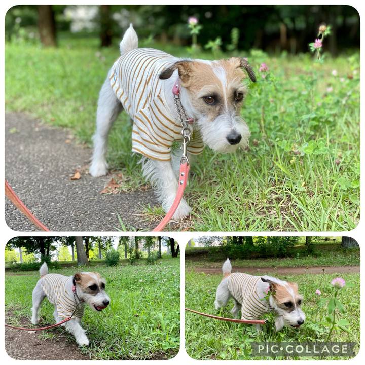 37c3d11a 832d 4997 ba40 27e368ecb9b3 1626262988807